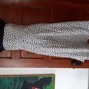 J. Crew Blue and White Polka Dot Dress
